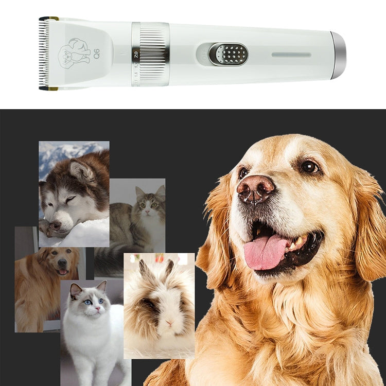Q6 USB Charger Electric Pet Clipper with Four Combs