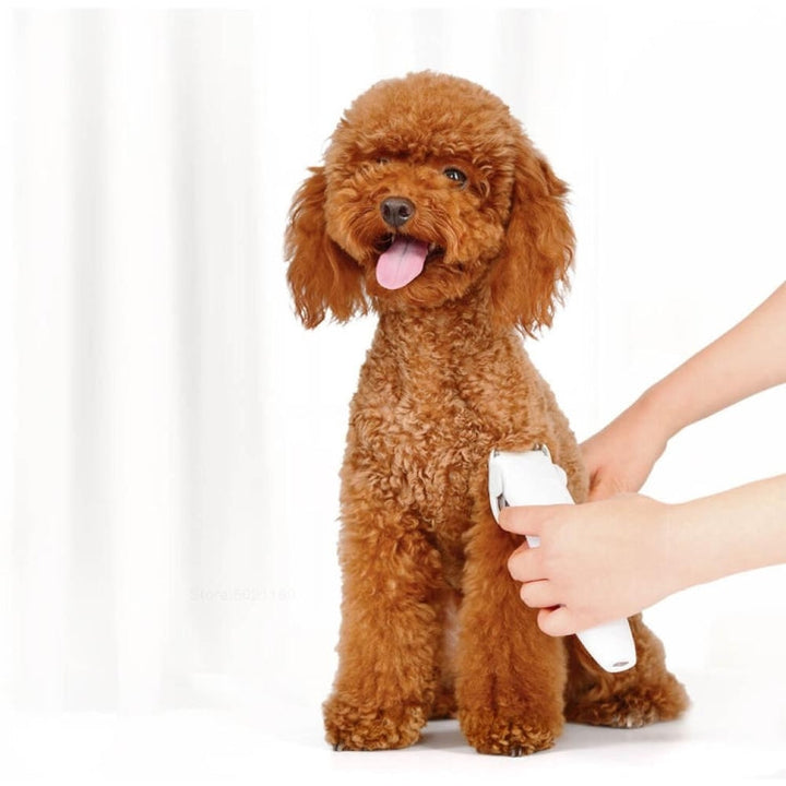 Original Xiaomi Youpin Pawbby Dog Professional Shaver Pet Care Clippers Electric Rechargeable Safety Haircut Machine (White)