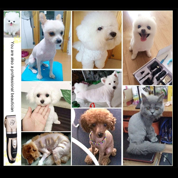 P2 110-240V Ceramics Titan Professional Pet Electric Clippers Pet Hair Clipper with Four Combs