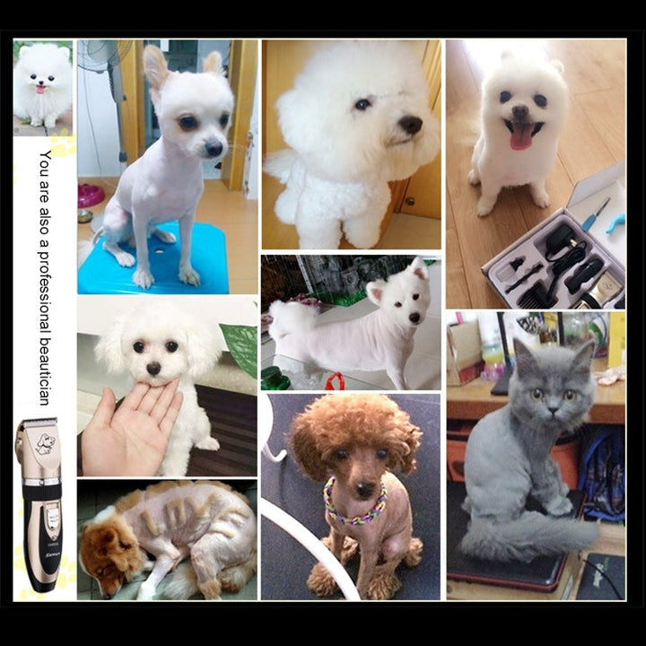 P2 110-240V Ceramics Titan Professional Pet Electric Clippers Pet Hair Clipper with Four Combs