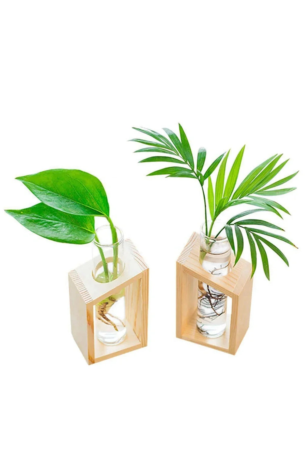 Lisslune | Plant pot