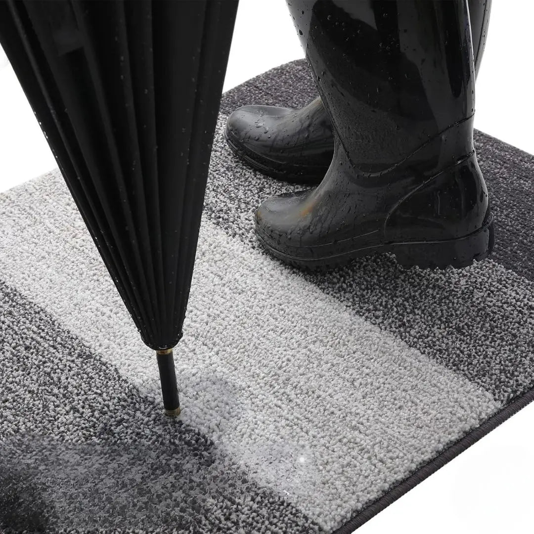 Lisslune | Washable floor mat for entrances with water-absorbing design