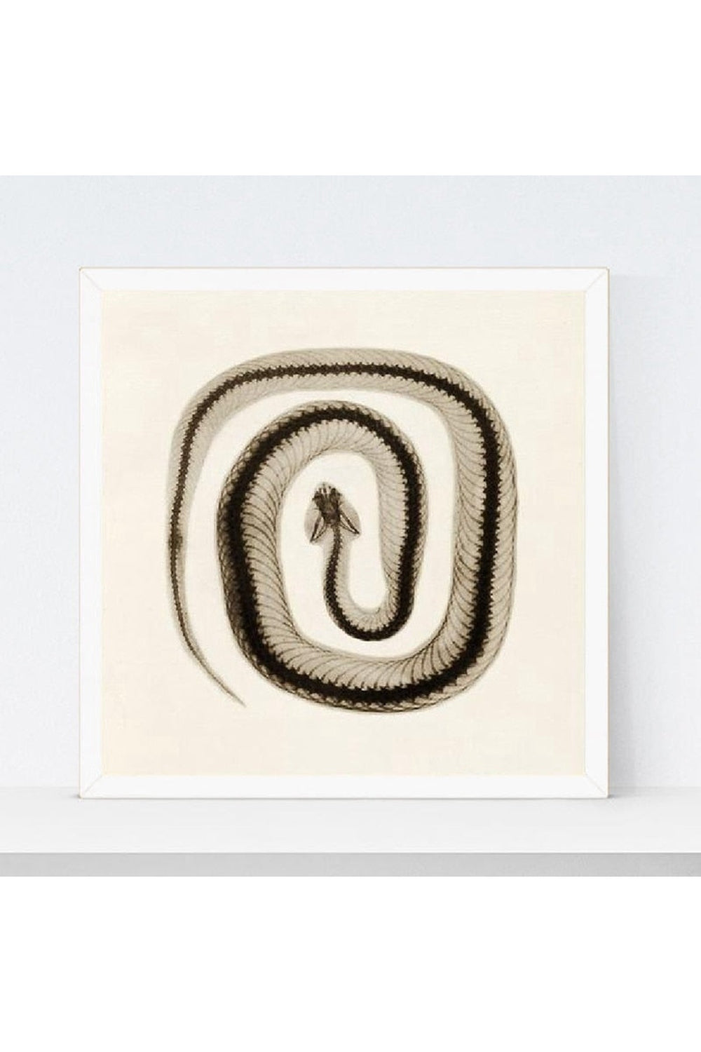 Lisslune | toned snake art poster