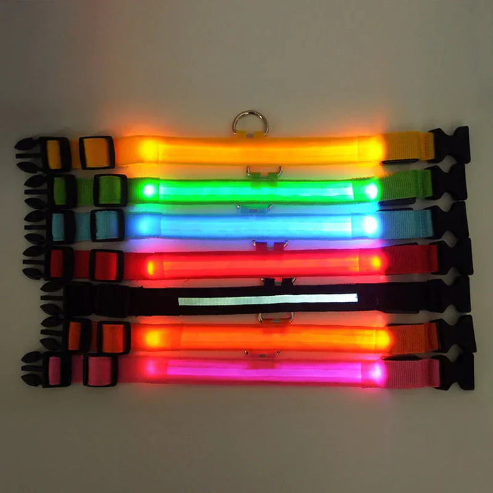 Lisslune | GlowPets LED Collar – Safety & Visibility for Pets