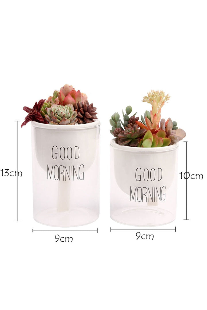 Lisslune | Plant Pot Innovation