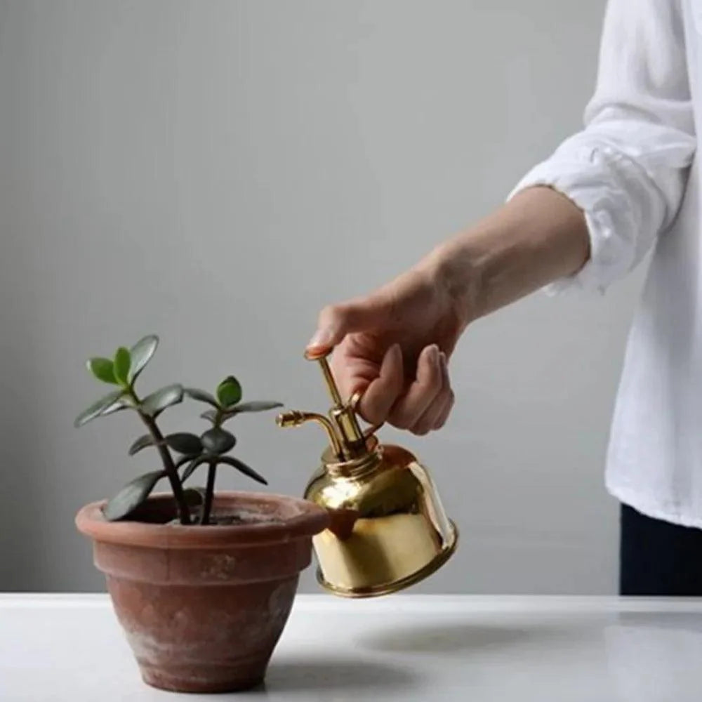 Lisslune | Elegant Brass Succulent Mister Set - Sleek Mini Watering Can with Polished Surface