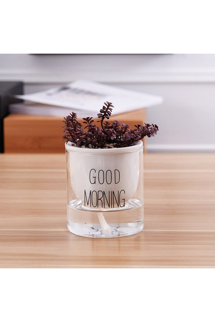 Lisslune | Plant Pot Innovation