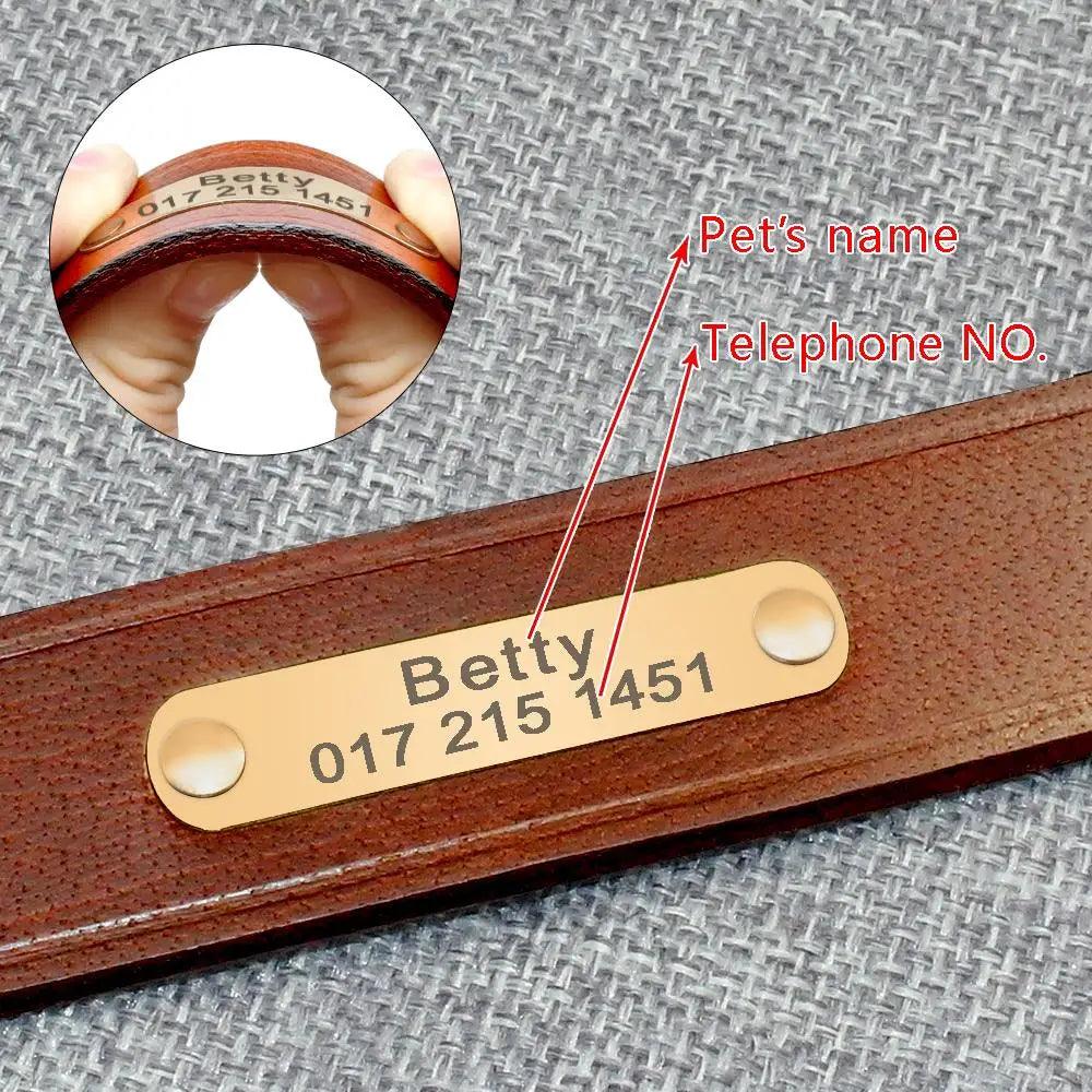 Lisslune | Customizable engraved leather dog collar for small to medium breeds - Personalized with name and contact information