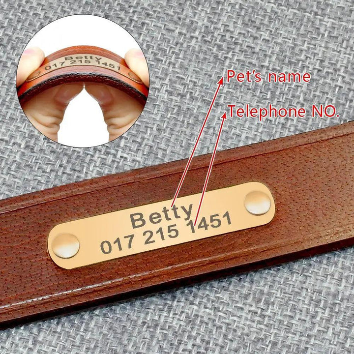 Lisslune | Customizable engraved leather dog collar for small to medium breeds - Personalized with name and contact information