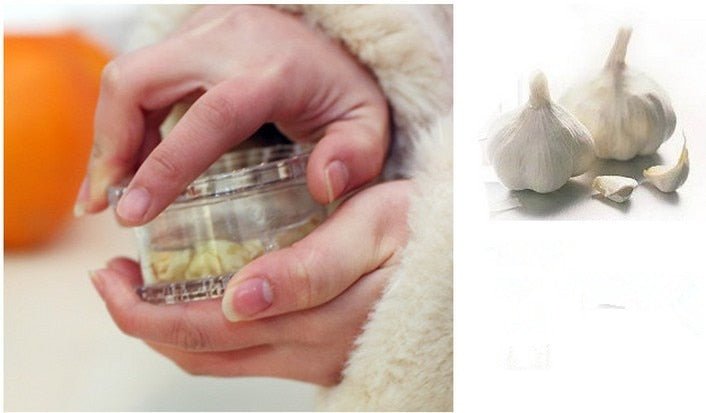 Lisslune | Mini Garlic Press Chopper