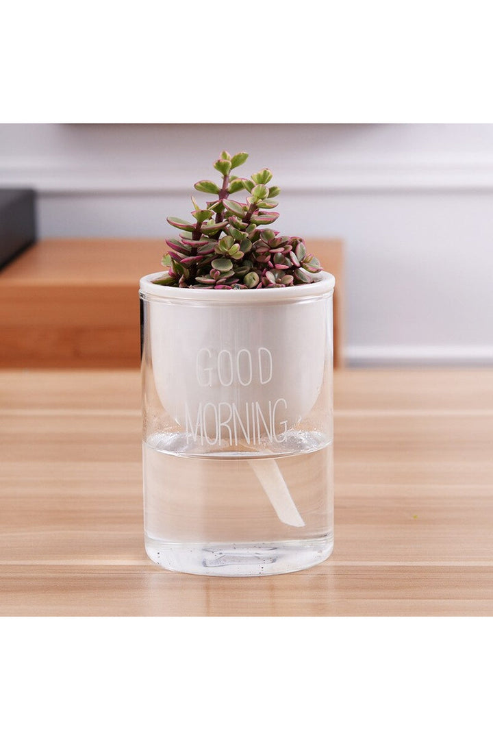 Lisslune | Plant Pot Innovation