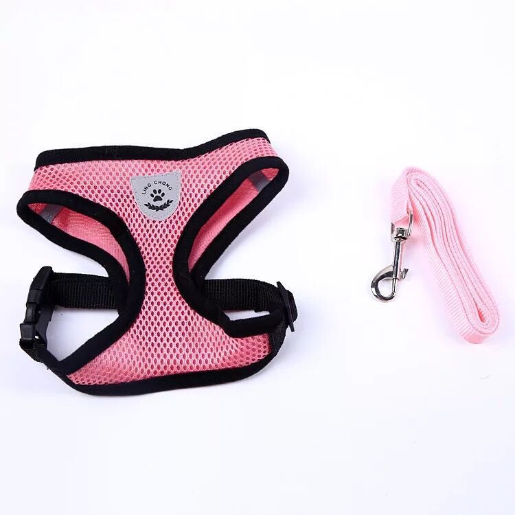 Lisslune | Cat harness with leash