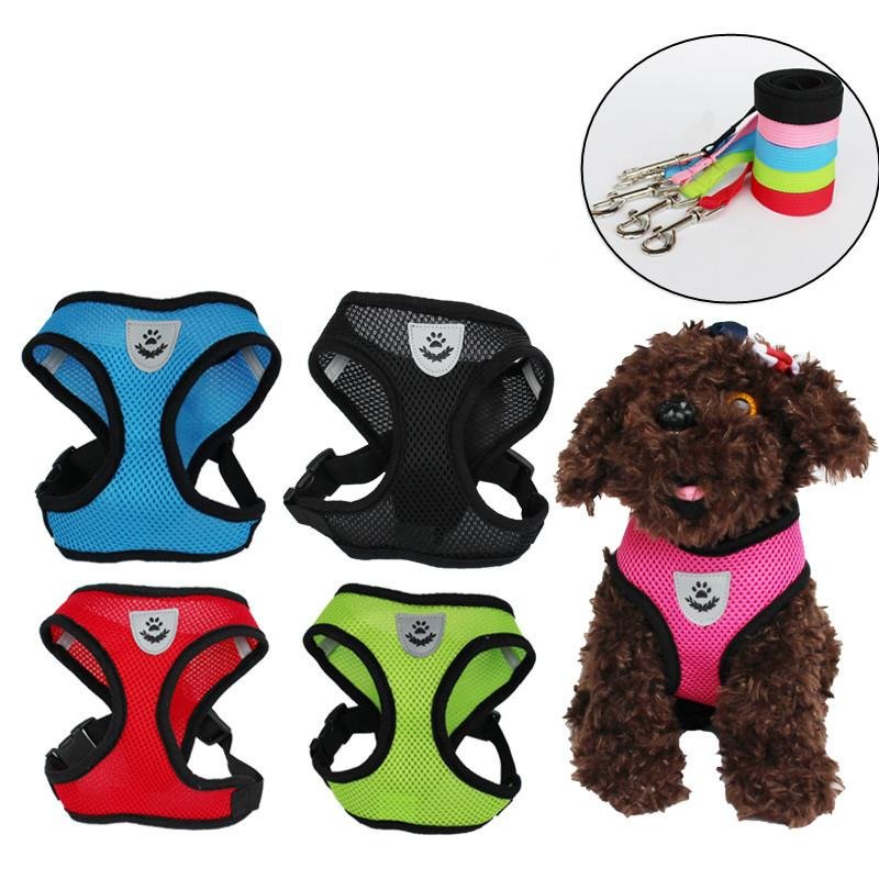 Lisslune | Cat harness with leash