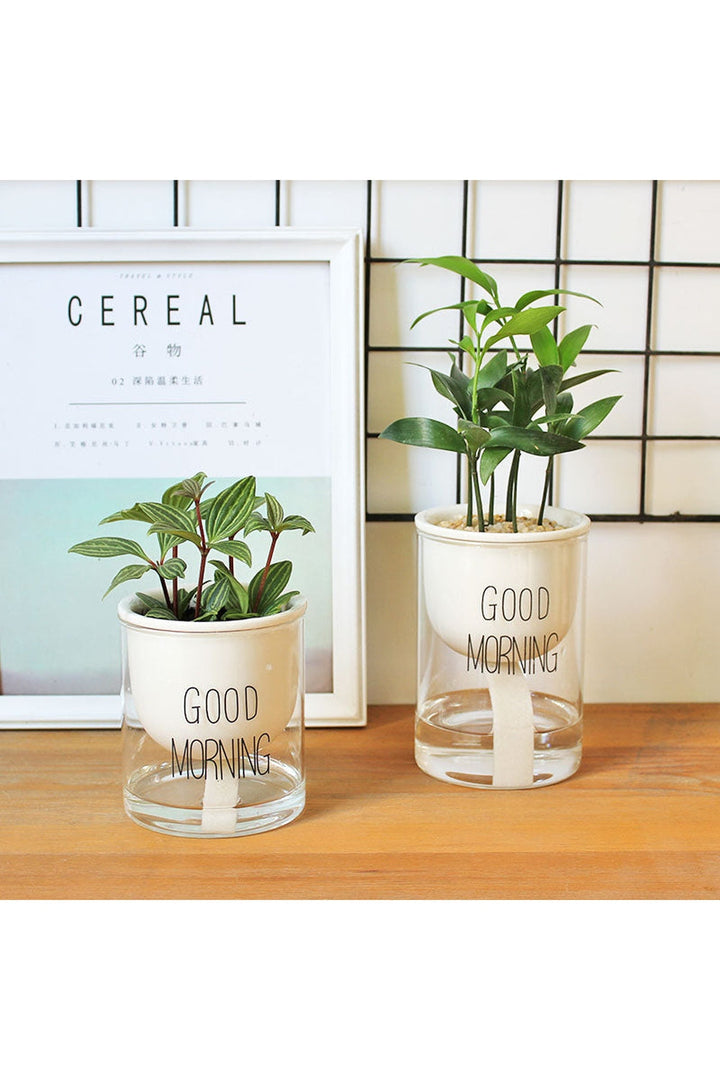 Lisslune | Plant Pot Innovation