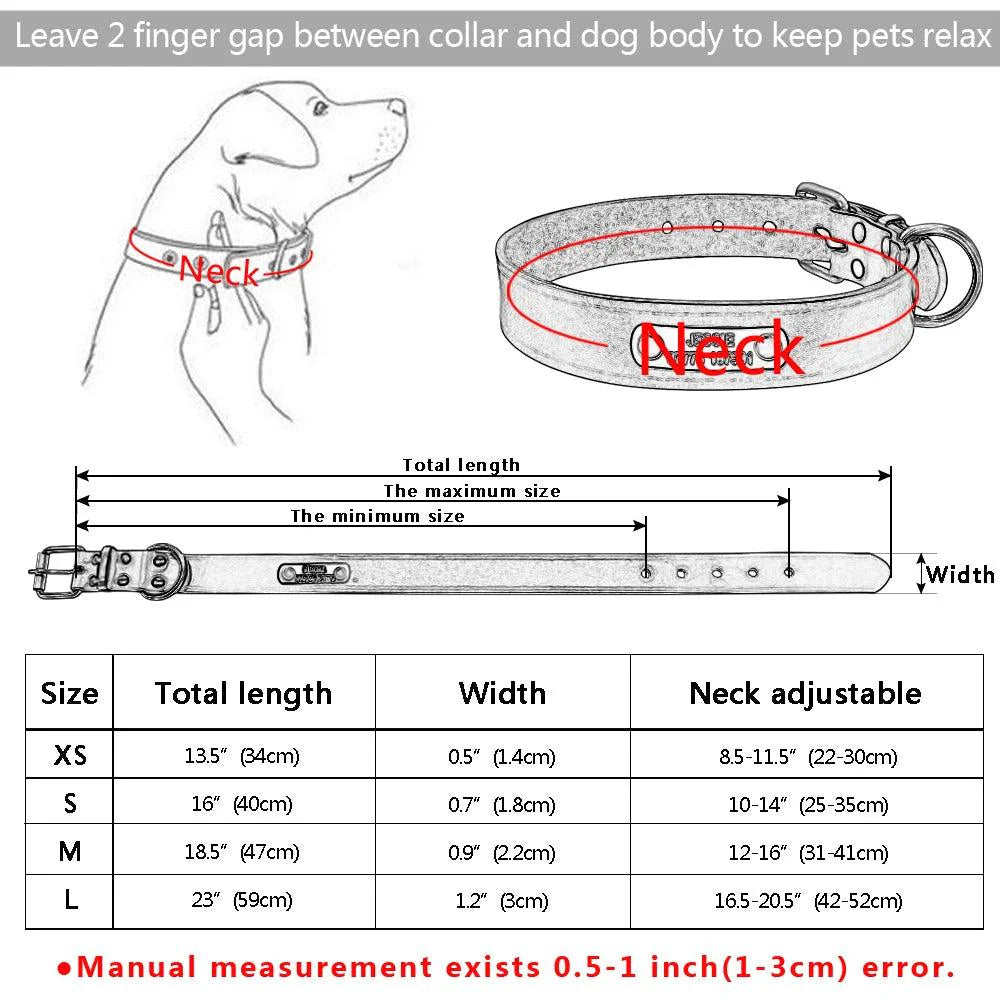 Lisslune | Customizable engraved leather dog collar for small to medium breeds - Personalized with name and contact information