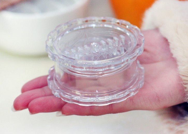 Lisslune | Mini Garlic Press Chopper