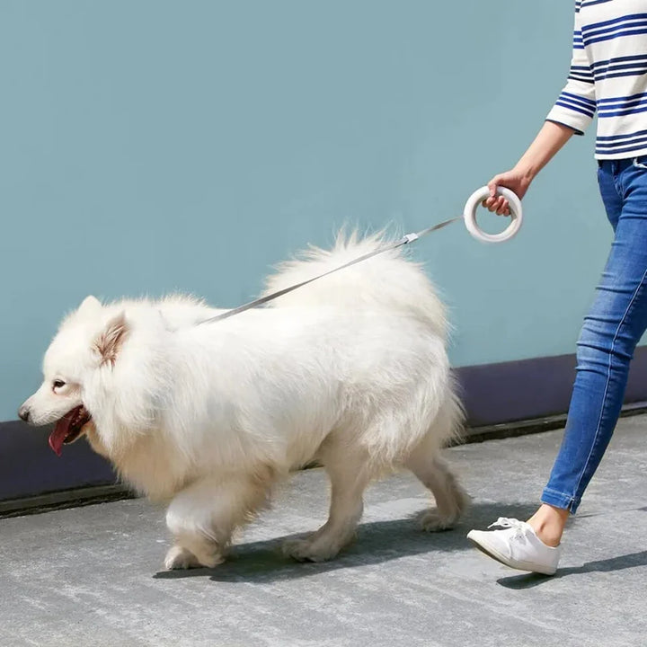 Lisslune | Dog friend - Adjustable smart leash with LED lighting for safe walks