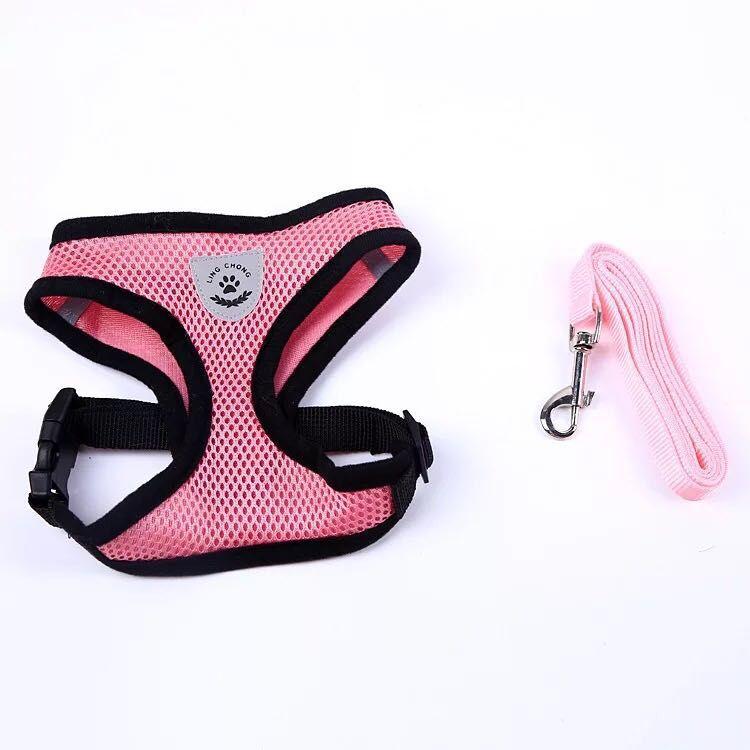 Lisslune | Cat harness with leash