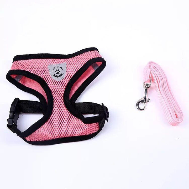 Lisslune | Cat harness with leash