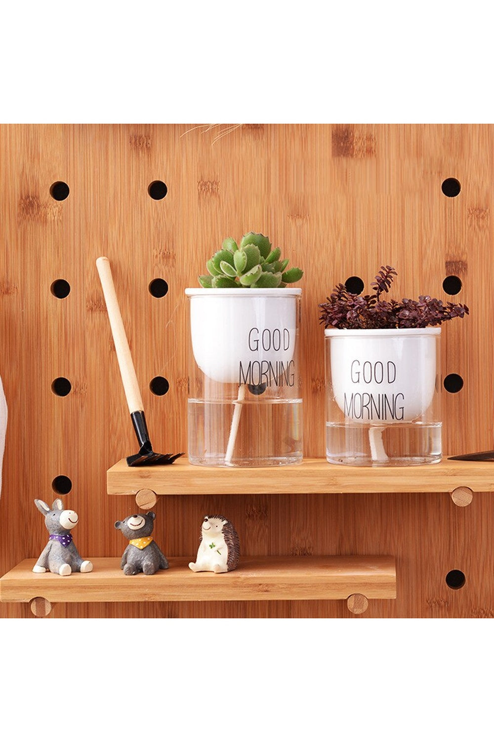 Lisslune | Plant Pot Innovation