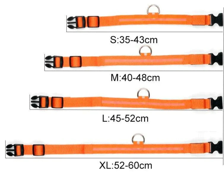Lisslune | GlowPets LED Collar – Safety & Visibility for Pets