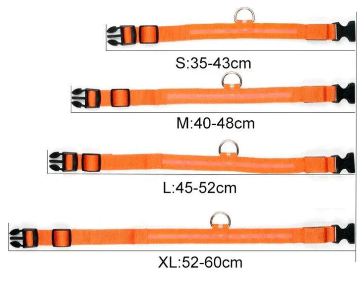 Lisslune | GlowPets LED Collar – Safety & Visibility for Pets