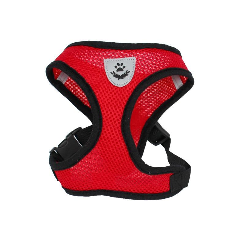 Lisslune | Cat harness with leash