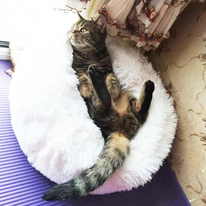 Lisslune | Soft Pet Bed FluffyLoop