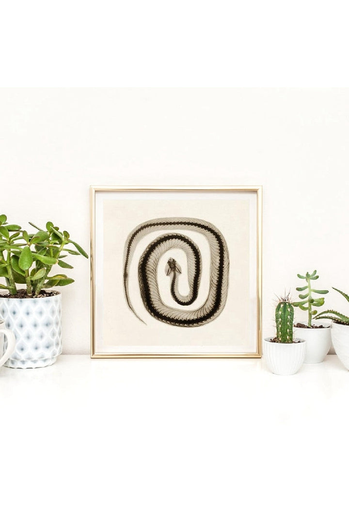 Lisslune | toned snake art poster