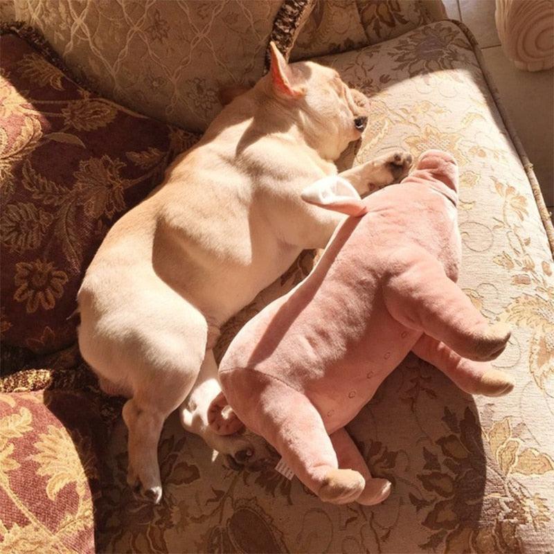 Lisslune | Cuddly Pig Friend: Plush Comfort Toy