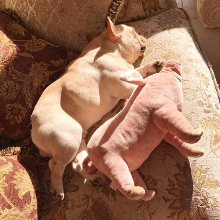 Lisslune | Cuddly Pig Friend: Plush Comfort Toy