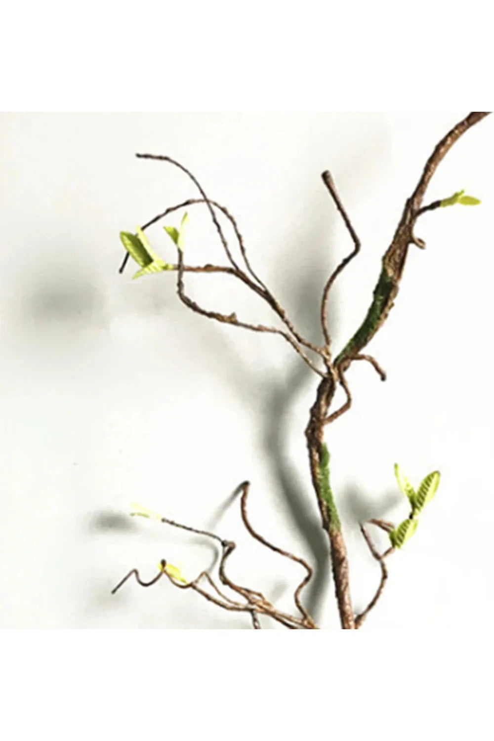 Lisslune | Rattan Artificial Plants