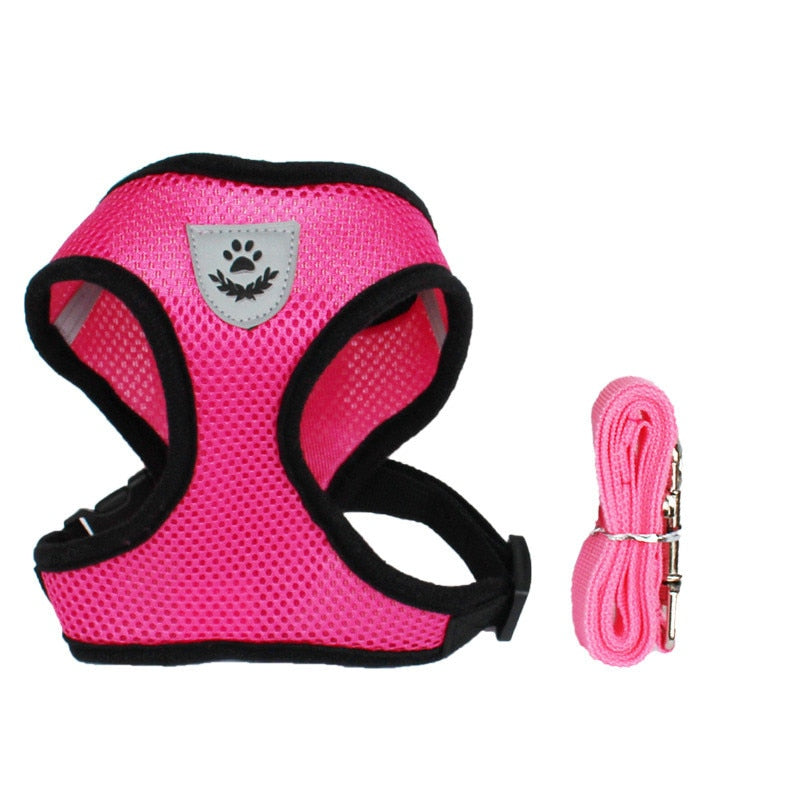 Lisslune | Cat harness with leash