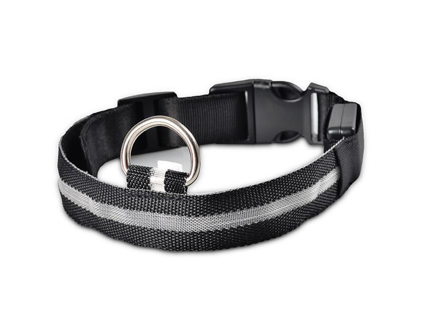 Lisslune | GlowPets LED Collar – Safety & Visibility for Pets