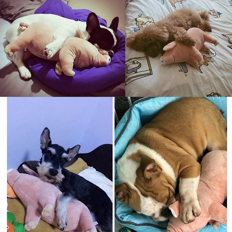 Lisslune | Cuddly Pig Friend: Plush Comfort Toy