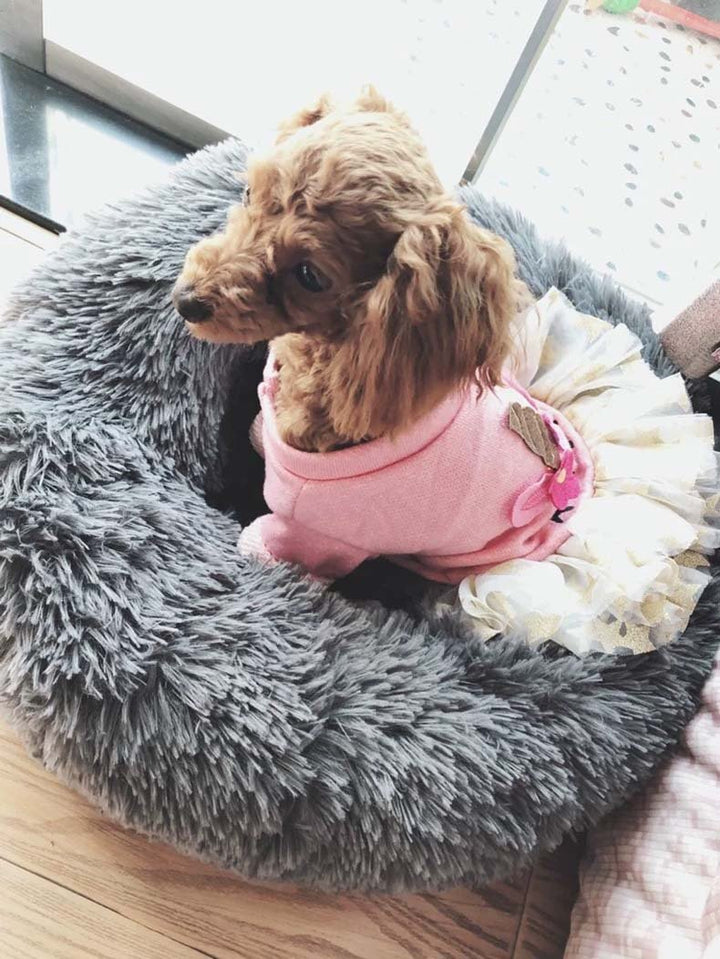 Lisslune | Soft Pet Bed FluffyLoop