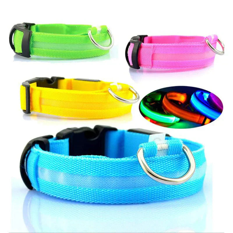 Lisslune | GlowPets LED Collar – Safety & Visibility for Pets