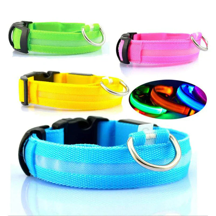 Lisslune | GlowPets LED Collar – Safety & Visibility for Pets
