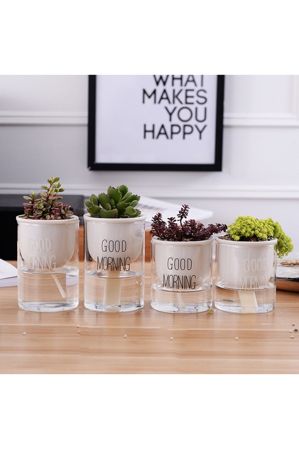 Lisslune | Plant Pot Innovation