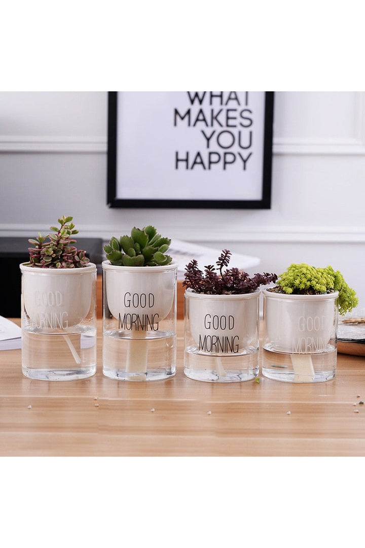 Lisslune | Plant Pot Innovation