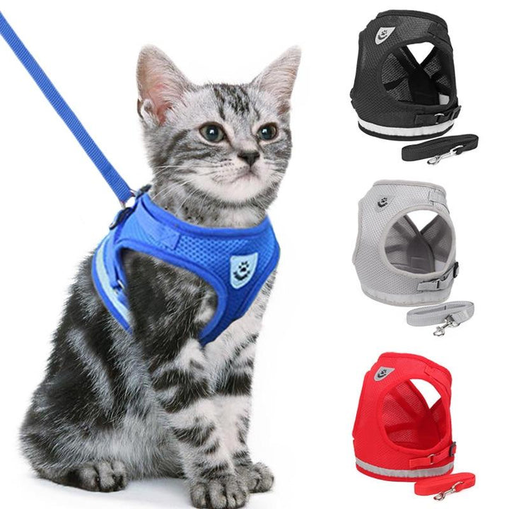 Lisslune | Cat harness with leash
