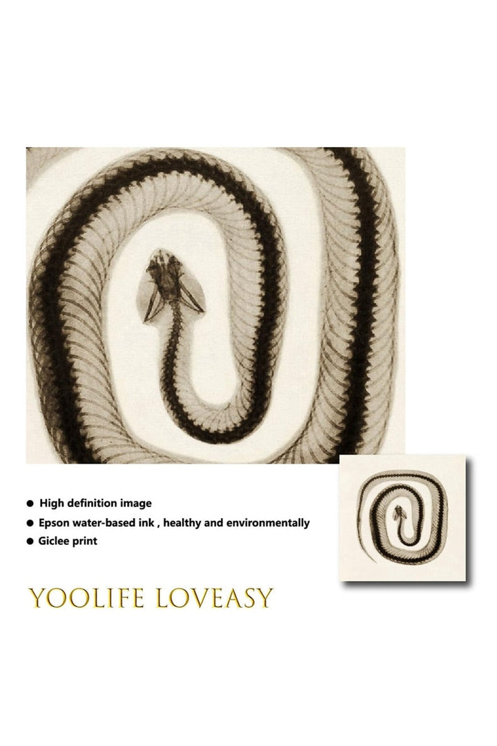 Lisslune | toned snake art poster