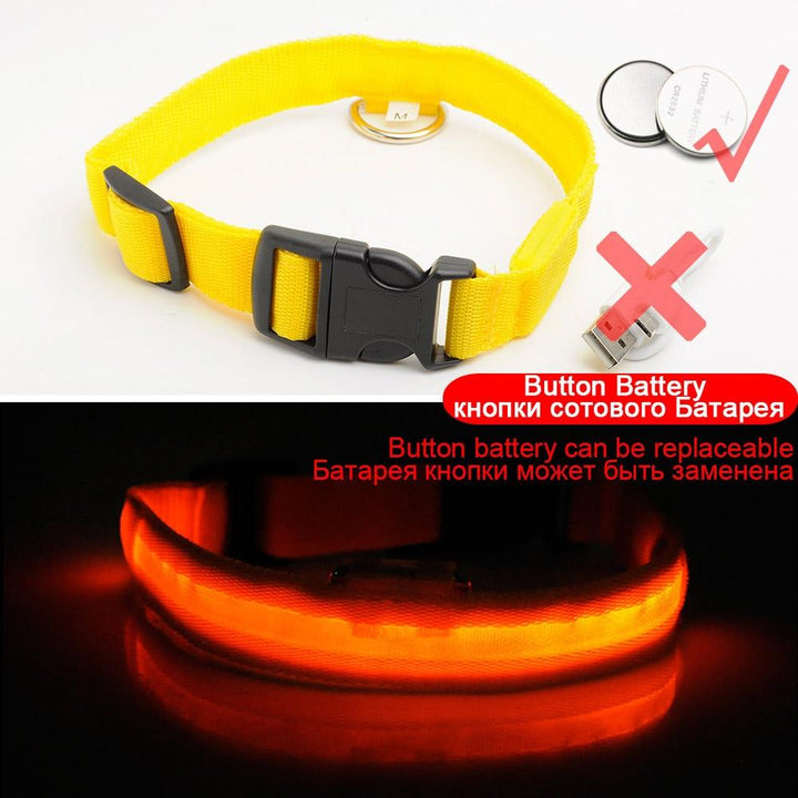 Lisslune | Light Up Dog Collar - Flashing Dog Collar