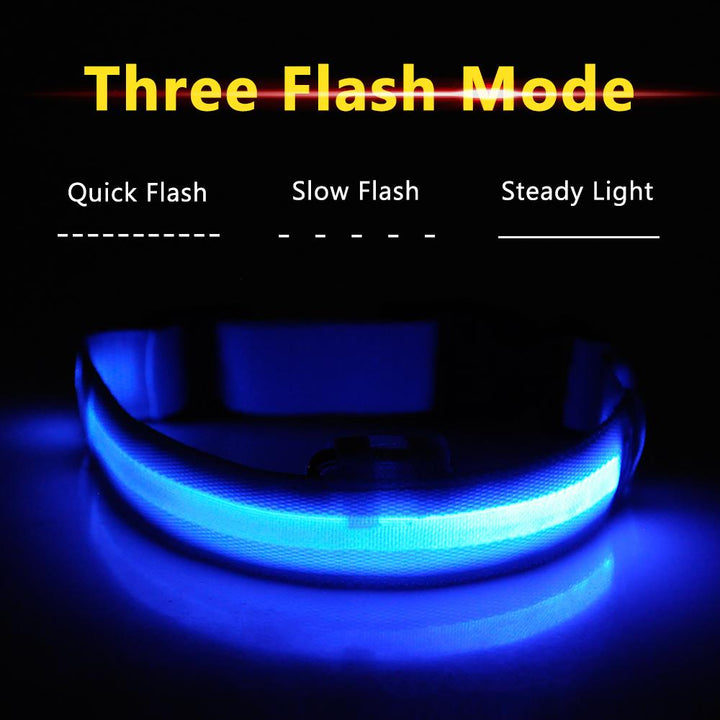 Lisslune | Light Up Dog Collar - Flashing Dog Collar