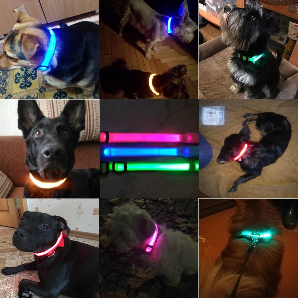 Lisslune | Light Up Dog Collar - Flashing Dog Collar