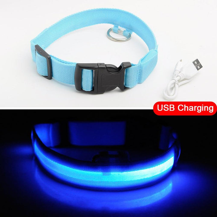 Lisslune | Light Up Dog Collar - Flashing Dog Collar