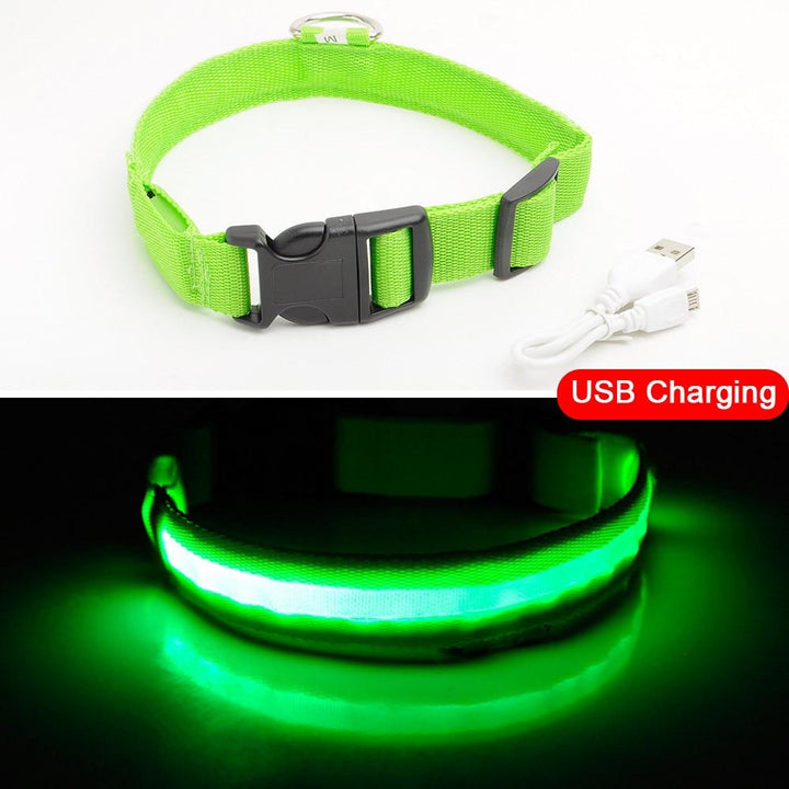 Lisslune | Light Up Dog Collar - Flashing Dog Collar