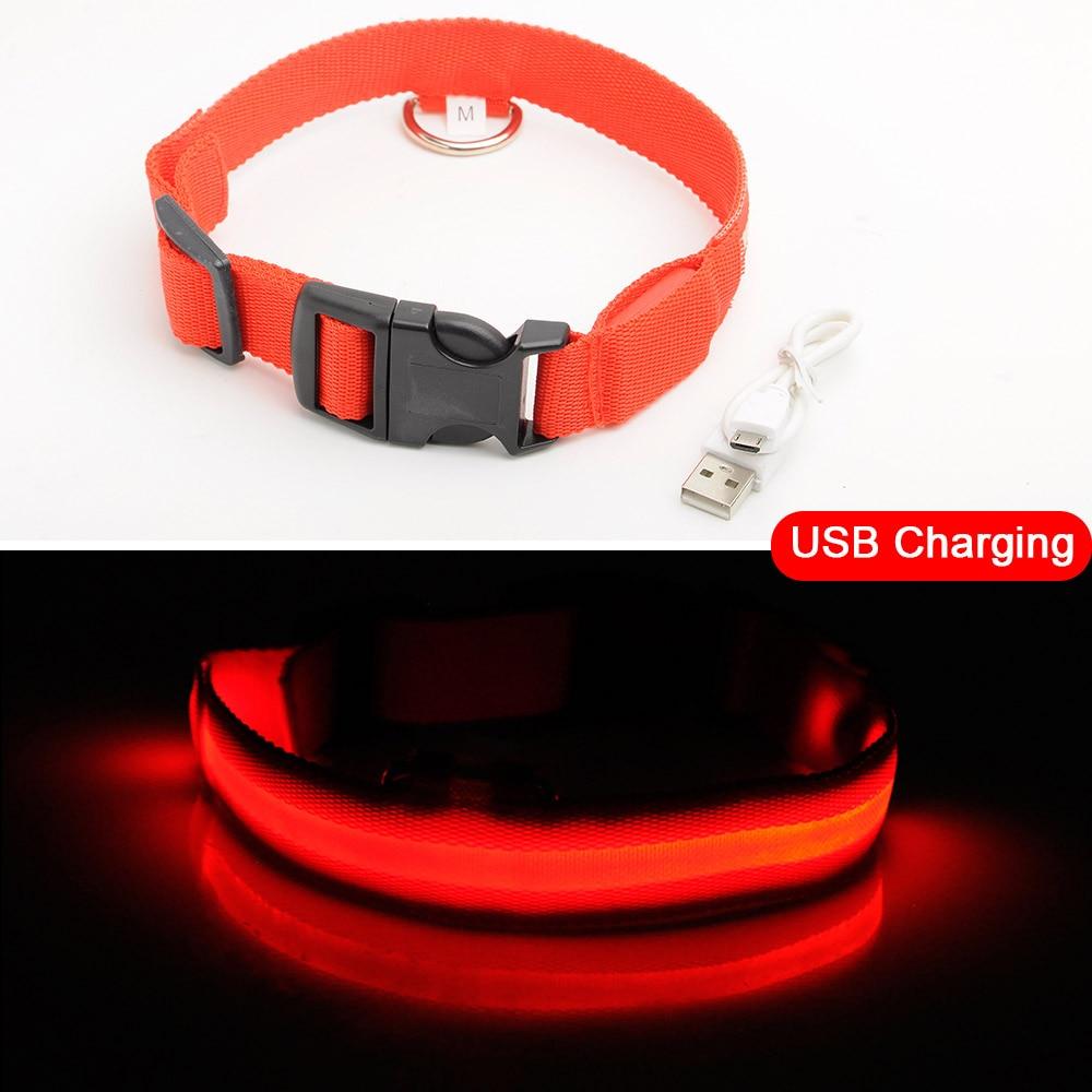 Lisslune | Light Up Dog Collar - Flashing Dog Collar