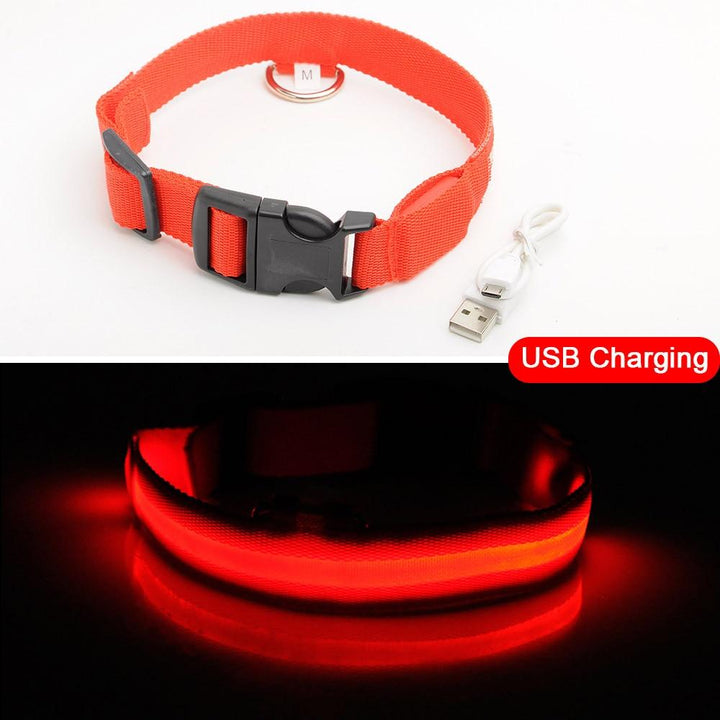 Lisslune | Light Up Dog Collar - Flashing Dog Collar