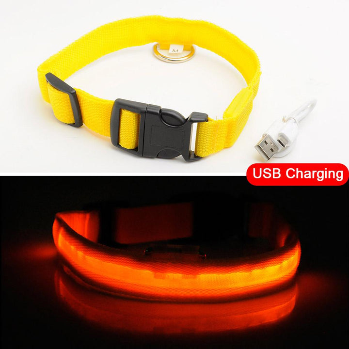 Lisslune | Light Up Dog Collar - Flashing Dog Collar